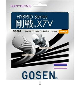 S[Z GOSEN SS507S[ZX7VCu[ SS507RB ejX\tgKbg r[đ