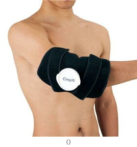 [bgwZ̈ ZETT CING15qEmEACVOT|[^[ AIC2500 {fBPAT|[^[ r[đ