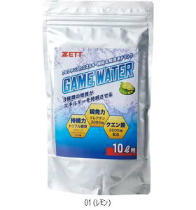 [bg ZETT NA`CAX[gQ[EH[^[500G ZGAMEW1 r[đ