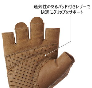 ~[[ Mueller vO[u2.0^uEL 22255 {fBPAg[jOEq r[đ