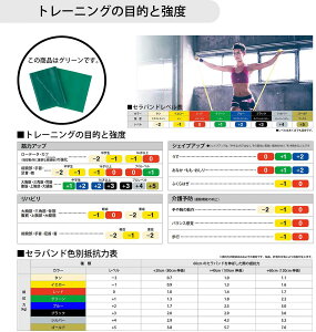 fBG DM ZohtH[Gg[O[ TBE3 {fBPAp[UPtBbglX r[đ