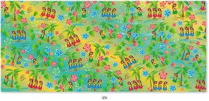 AXJ nCAtFCX^ItK[ ASK2APHUL }SPObY\m^ r[đ