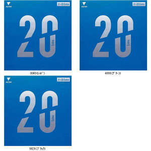 }g싅 TSP V20GLXg 200110 싅o[