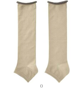 t@Ce gJVNO[W22-24 AL945870 {fBPACi[pc^Cc