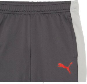 �v�[�} PUMA INDIVILIGATRPT 660971