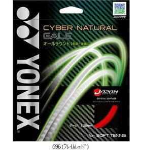 ���l�b�N�X YONEX �T�C�o�[�i�`�������Q�C�� CSG650GA �e�j�X�\�t�g�K�b�g