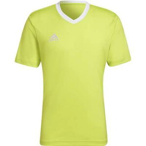 AfB_X adidas 43ENTRADA22W[W ZG486 TbJ[vNeBNXVc