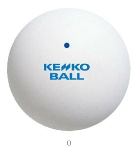 PR[ KENKO \tgejX{[ X^^[hWT^Zbg̔ 12 TSSWV