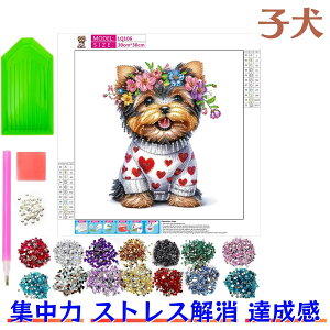 _ChA[g S Zbg r[YA[g iF _Ch A[g Lbg i UCNA[g tďH~ _CAhA[g  t[ _CAhA[gZbg r[YA