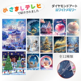 ダイヤモンドアート 初心者 ビーズアート キット ダイヤモンド アート 冬 雪 ウインター クリスマス モザイクアート 大人 風景 景色 ダイアモンドアート ダイアモンドアートセット ダイヤモンドアートキット ビーズセット ビーズキット