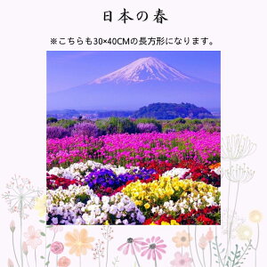 ���i�摜