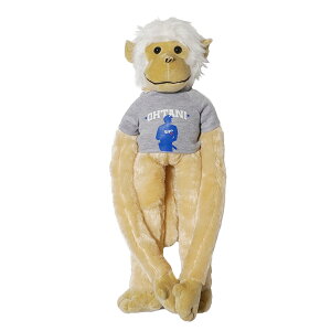 Jĕ ObY ʂ L[ VGbg kCO~ MLB W[[OObY FOCOА MLBCZX T[X hW[X [L[ Jĕ hW[X  