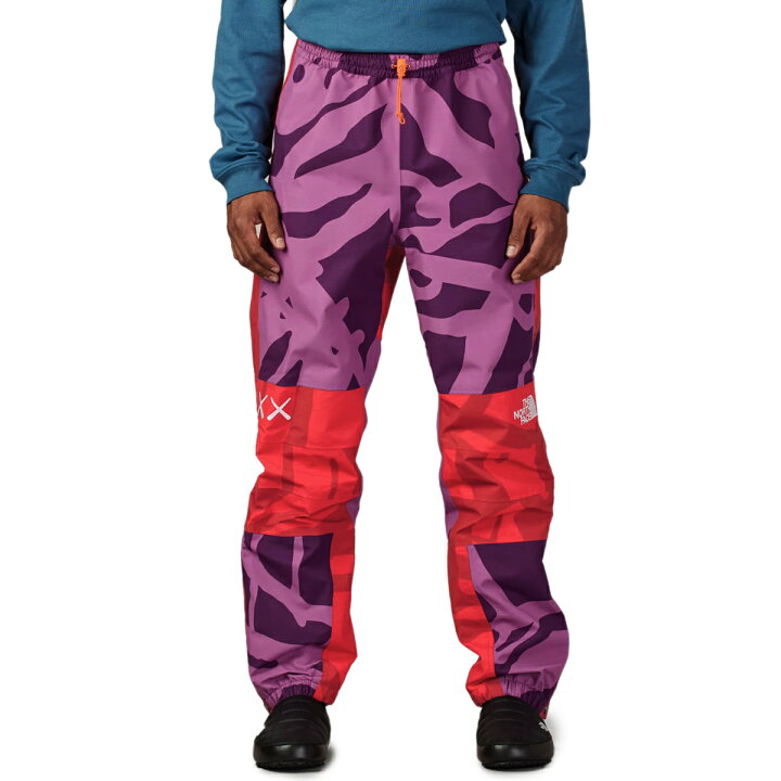楽天市場】ザ ノースフェイス パンツ The North Face KAWS MOUNTAIN 