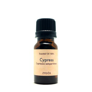 GbZVIC100% 10mlyTCvXzƖpi