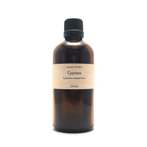 GbZVIC100% 100mlyTCvXzƖpi