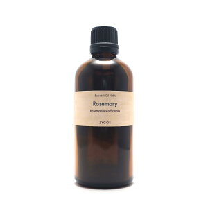 GbZVIC100% 100mly[Y}[EVlI[zƖpi