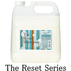 �T�������[�N��p�y�U�E���Z�b�g�V�����v�[�i�Ɩ��p�j�z 4000ml