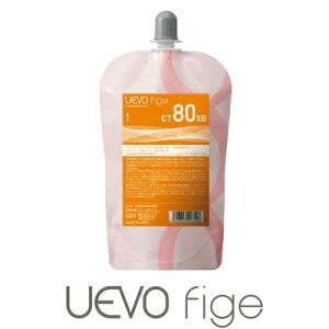 �`�I�^�C�v �R�[���h�񗁎��y�E�F�[�{ �t�B�[�W�F CT80XB 1�܁z 400ml