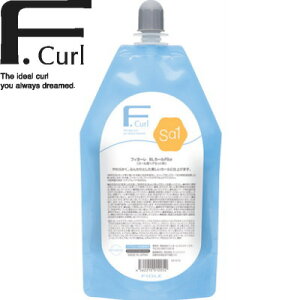 BL�J�[���E�\�t�g�^�C�v�ES��1�y�t�B���[�� BL�J�[�� FSa�z 400ml