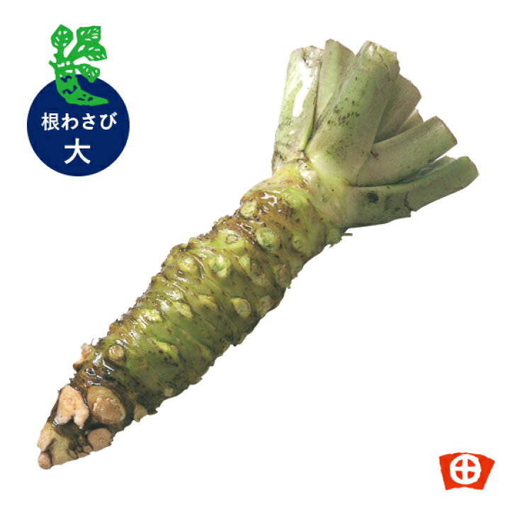 静岡本わさび瑞葵 70g 山葵 ねりわさび 練りわさび チューブ すりおろし 薬味 調味料 スパイス 静岡名産 静岡みやげ お土産 記念日 生わさび 静岡県産 根わさび