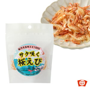 cۉ{X@TN炭 É yY y    TNTN É̃XibN 炦 тׂ