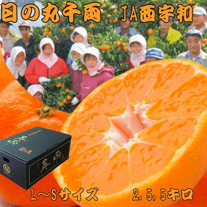 _500~N[|sI^Qy ̊ۂ݂zIŊԈႢȂIŷΉ zQ ݂ \̔ 11{蔭Jn 2.5L 2.5L×2P[X 5L JAFagbvuh Mtg