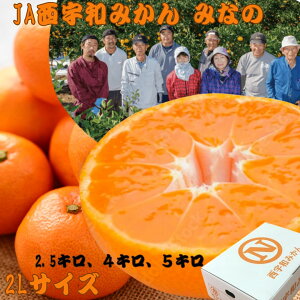 _N[|sI^Q ݂ ḾyJAFaz y݂Ȃ̋Iz\̔ 11{蔭Jn 2.5L 2.5L×2P[X 4L y2LTCY zŷΉ z11{ Kii 