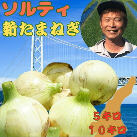 兵庫 淡路島 新玉ねぎ 新たまねぎ 新タマネギ 新玉ネギ 新玉葱 ”予約販売” ソルティ玉ねぎ 淡路島 三野さん 有機肥料 七宝 特別栽培 甘い オーガニック 訳あり 生食 みずみずしい 甘味強い 高糖度 玉ねぎ 玉葱 たまねぎ タマネギ