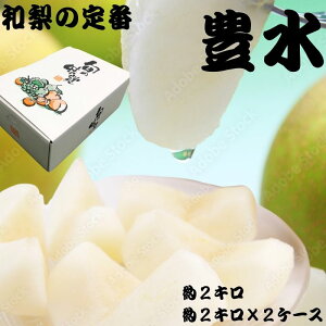 _|Cg10{ I[vLO^ ȃ\i yLz ŷΉzoC[I {ɂYn`CXI V`Ȗ؁`邩@2L@2L×2P[X Mtg 蕨