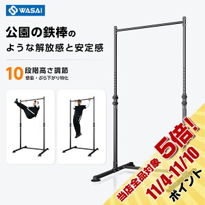 WASAI(TC)  }V  S_ `jO Ԃ牺茒N S_ (T31)