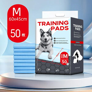 ybgp}bg  ybg}bg gCV[g gC~}bg NbV pbh ybgV[c h ĝ p Lp   ybgpi z L h~ 