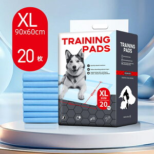 ybgp}bg  ybg}bg gCV[g gC~}bg NbV pbh ybgV[c h ĝ p Lp   ybgpi z L h~ 