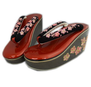   q[ ԐF䏬hJ@ t[ 24.5cm ۂ蕗 U l Ǝ   W Up ͂ nJ} p fB[X  K⒅