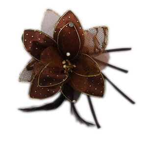   RT[W FnCXg[hbgԉH U l Ǝ      䂩 Up ͂ nJ}