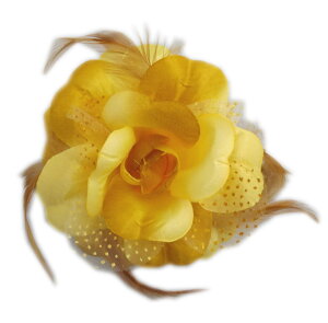   RT[W FnKNhbg[XH U l Ǝ      䂩 Up ͂ nJ}