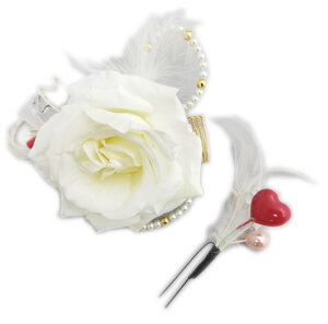   RT[W Us 2_Zbg KNp[ԃn[gH U l Ǝ      䂩 Up ͂ nJ}