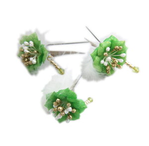   Us 3_Zbg ΐF~jԃr[YH U l Ǝ      䂩 p fB[X qp LbY Up ͂ nJ}