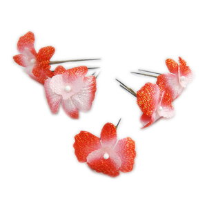   Us 5_Zbg ԐFڂ U l Ǝ      䂩 p fB[X qp LbY Up ͂ nJ}