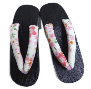  q[  p  n t[ 24cm  䂩 r fj  Q^ fB[X