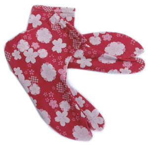   p Xgb` ԐFnd t[ 22.5`25cm { JWA   U l Ǝ  ̂т fB[X Up ͂ nJ} 23cm 24cm