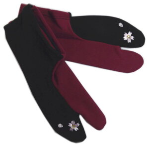  CXg[ hJ Xgb` {h[ t[ { 22cm`24.5cm U l Ǝ   p fB[X ̂т Up  ͂ nJ} 23cm 24cm F  