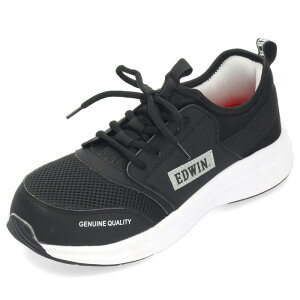 SC EDWIN GhEB C Y 254 [NV[Y y Xj[J[ JWA RC ubN lCr[