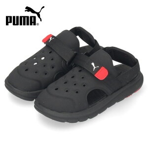 yX[p[SALEN[|zzz PUMA xr[ v[} G{u AC T_ 389148 01 ubN 08 lCr[ 09 ^[RCY LbY X|[cT_ j̎q ̎q y xN Xgbv