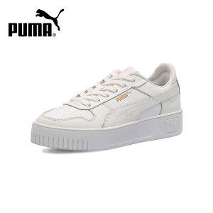 y300~ItCPzv[} Xj[J[ fB[X    V[Y PUMA L[i Xg[g 389390 zCg ubN ʊw ʋ JWA C [Jbg