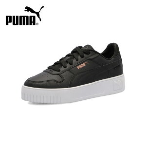y300~ItCPzv[} Xj[J[ fB[X    V[Y PUMA L[i Xg[g 389390 zCg ubN ʊw ʋ JWA C [Jbg