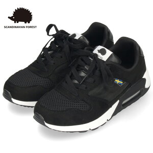 Xj[J[ fB[X V[X[  GA\[ ubN  x[W O[  X|[eB XJWirA tHXg SF0106