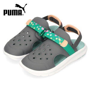 PUMA �L�b�Y �v�[�} �G�{���u �T�}�[�L�����v AC �T���_�� 395646 01 �z���C�g 02 �O���[ �X�|�[�c�T���_�� �j�̎q ���̎q �y�� �ʋC�� ����