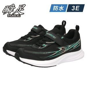 �u�� 3E �h�� SJJ1520 JJ-152 �L�b�Y �j�̎q ���̎q �X�j�[�J�[ �ʊw �C �� �u���b�N �T�b�N�X �u���[ �u���[�h�u�[�X�^�[