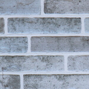 yX[p[SALE艿izq  m _ fUC a O UVJbg 4{yDECOq Kz94cm×2m q1 vg jɂ ͗lւ ւ ȒP ub