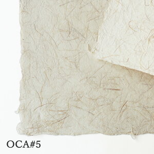 荗 AS OCA#5 a 荗 t 唻 H  `}bg ~ Jgi[W    ^ y[p[ AoJ